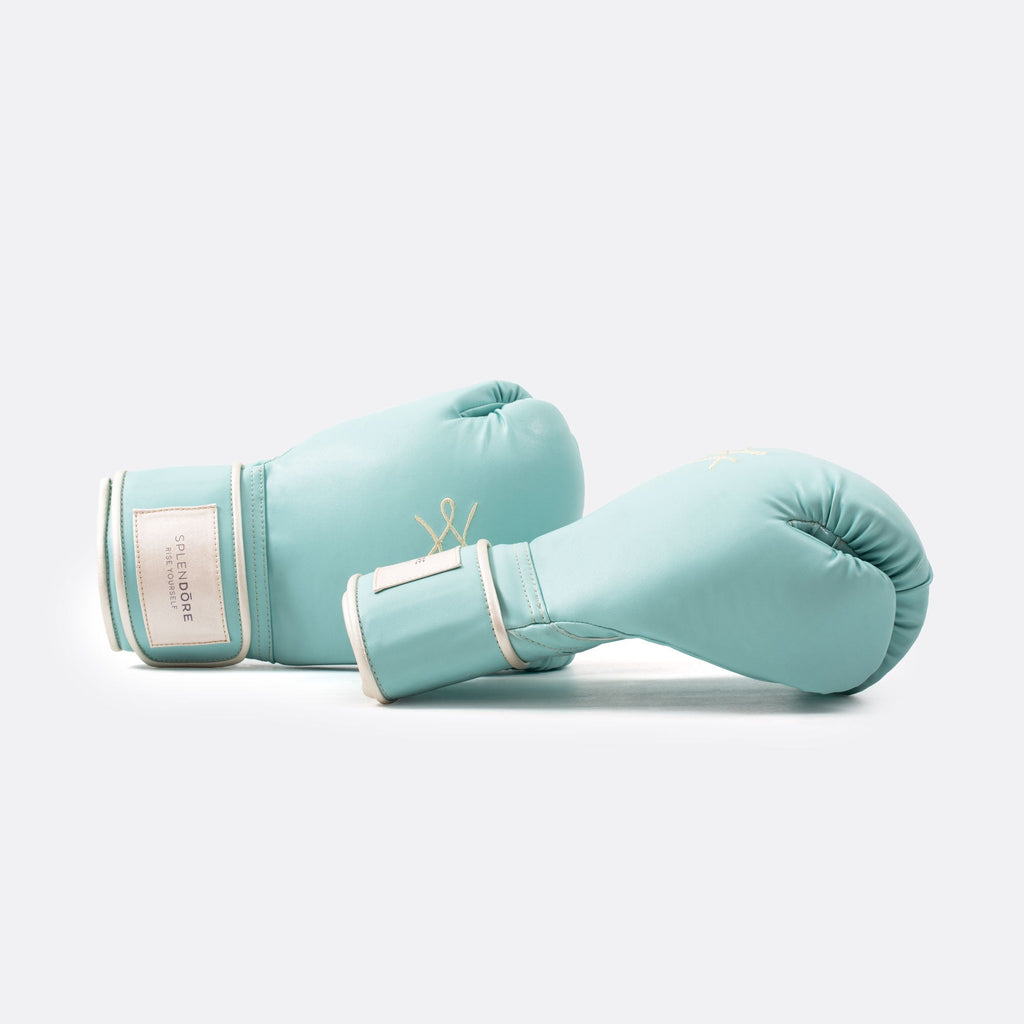 blue boxing gloves