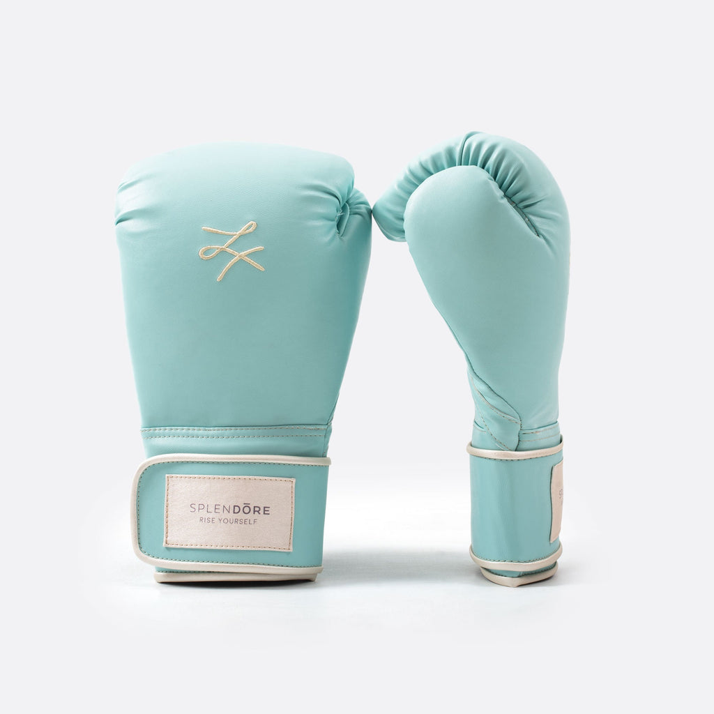 Stylish boxing gloves