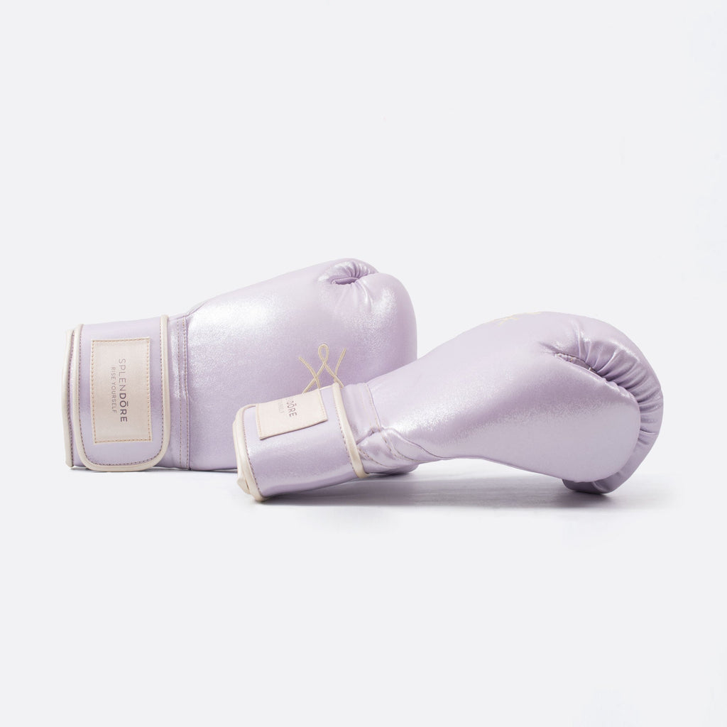 Luxury boxing gloves